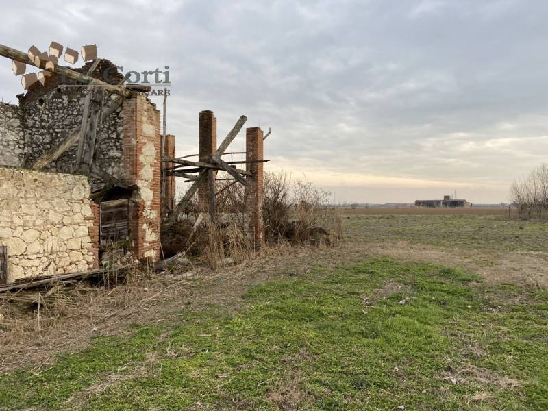 Terreno agricolo Sant 'Andrea, Cologna Veneta