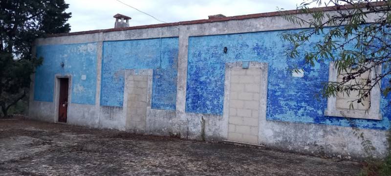  - foto 3