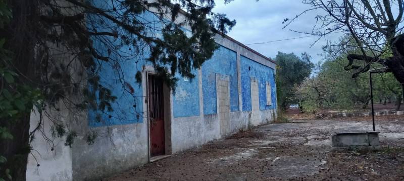  - foto 4