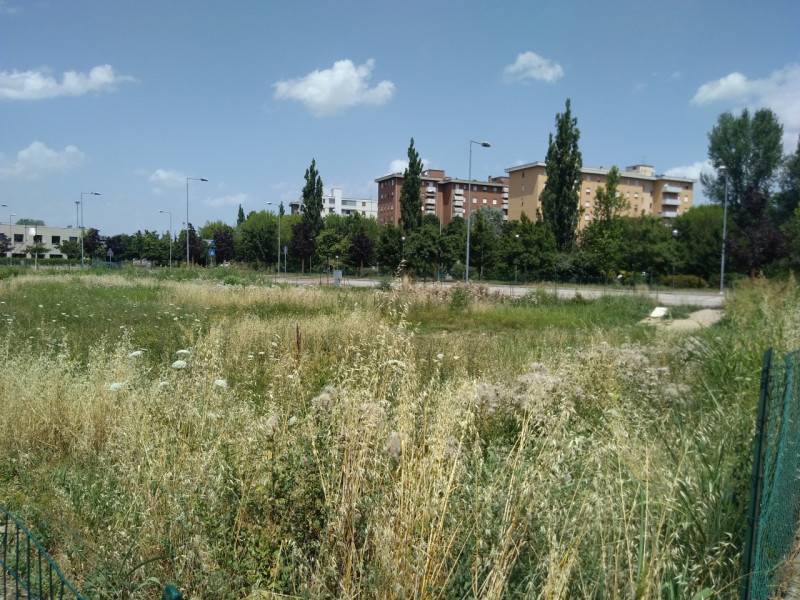  - foto 2