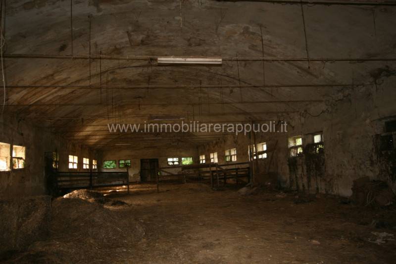 Rustico Rapolano Terme, Rapolano Terme