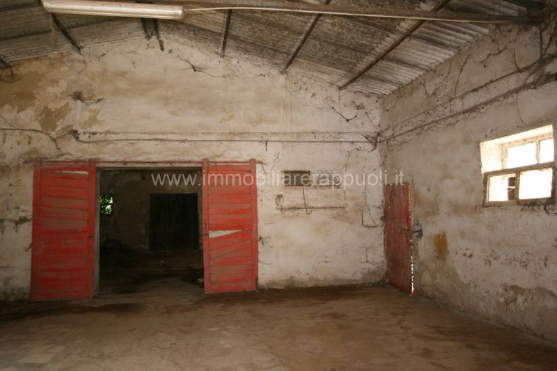  - foto 6