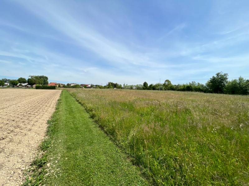 Terreno agricolo Galta, Vigonovo