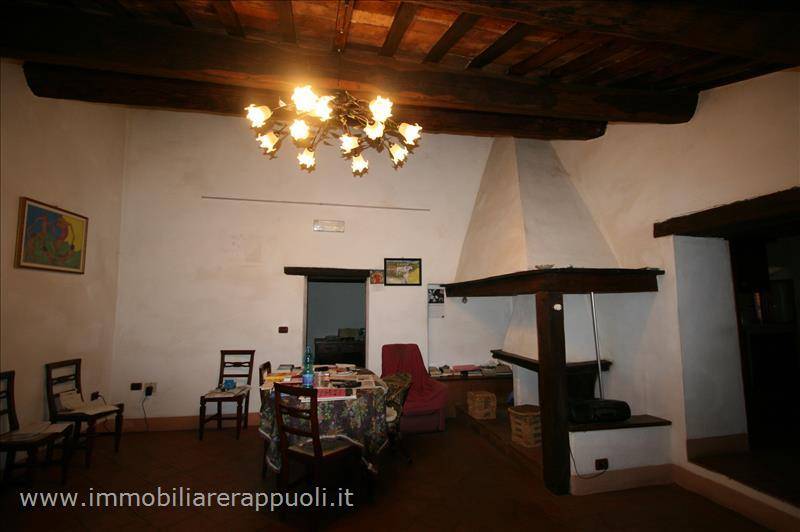  - foto 5
