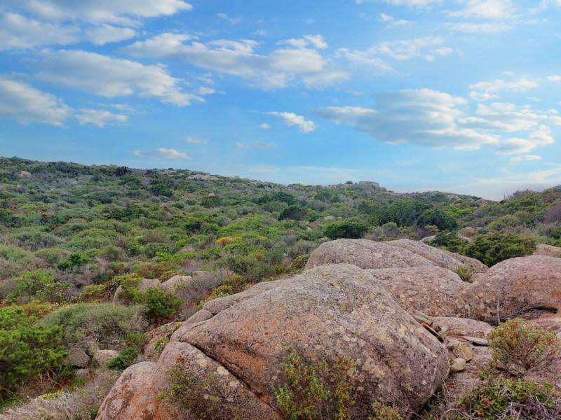  - foto 7