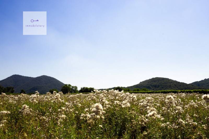 Terreno agricolo Monticelli, Monselice