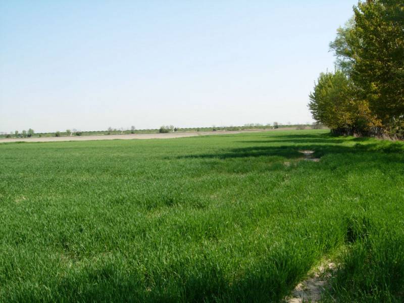  - foto 6