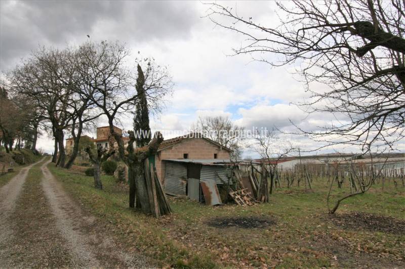  - foto 3