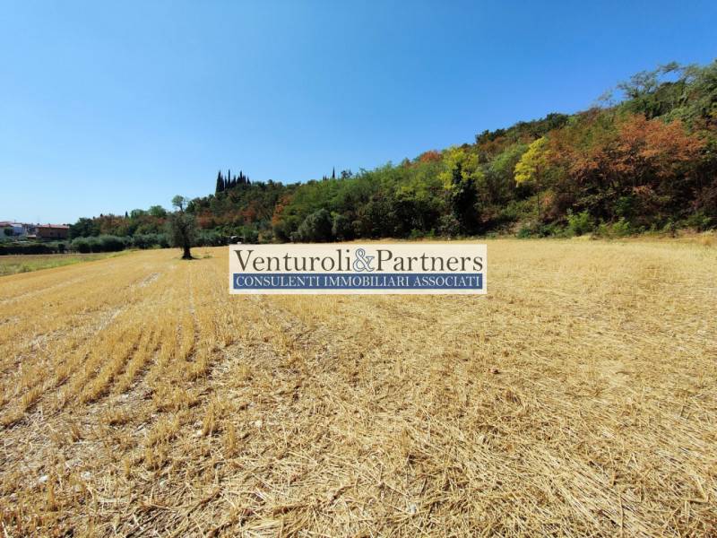 Terreno agricolo, Polpenazze del Garda