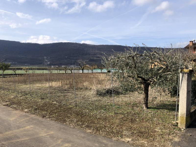 Altro San Germano dei Berici, Val Liona
