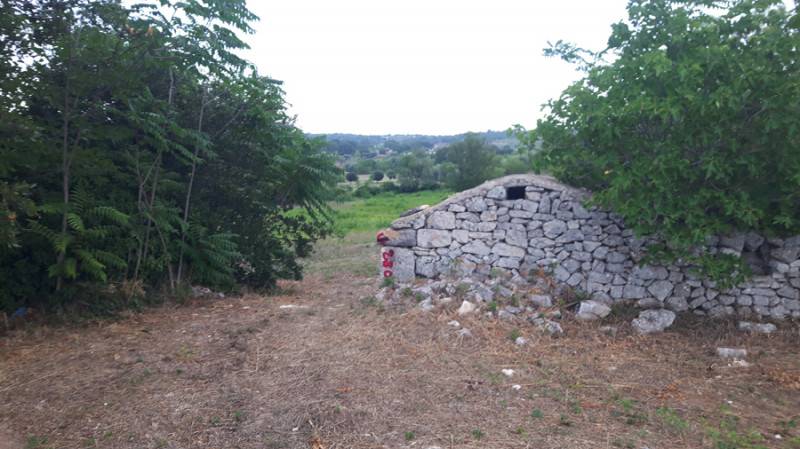  - foto 10