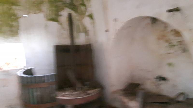  - foto 4