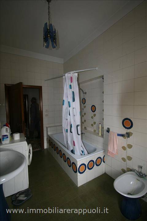  - foto 7