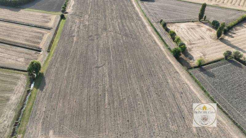 Terreno agricolo Este, Este