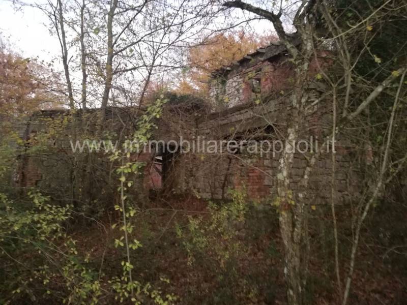 Rustico Rapolano Terme, Rapolano Terme