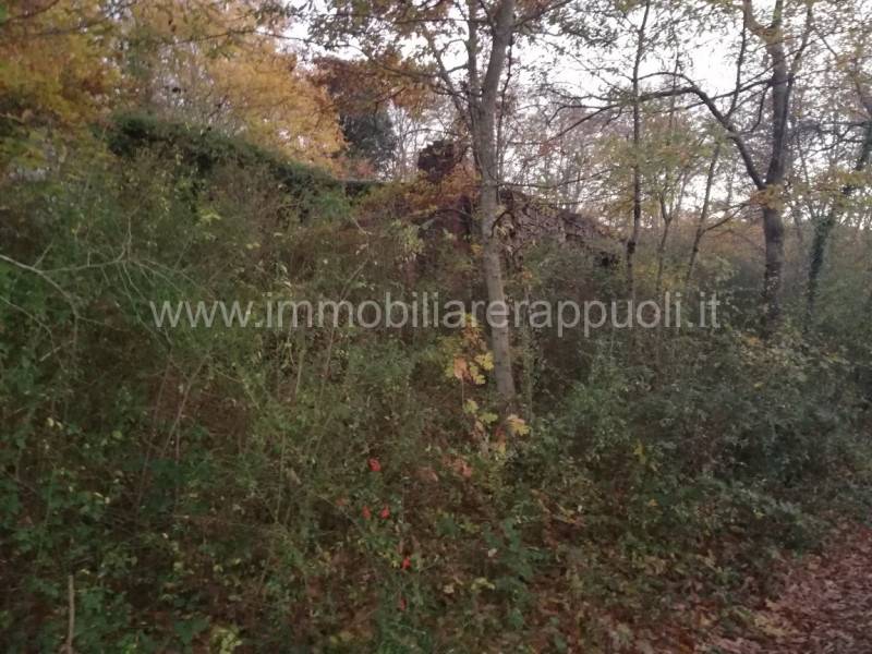  - foto 10