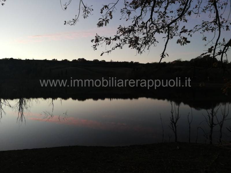  - foto 8