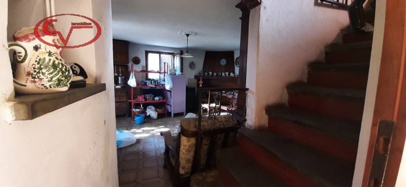  - foto 7