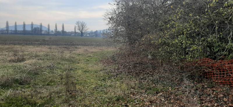 Rustico San Biagio, Teolo