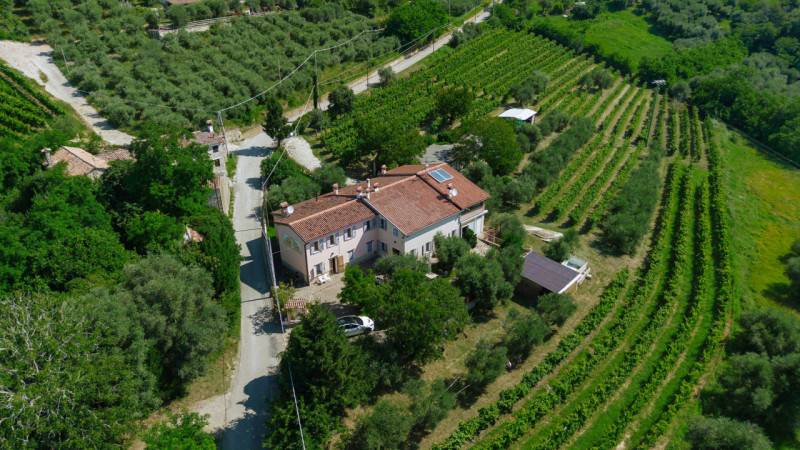 Rustico, Cinto Euganeo