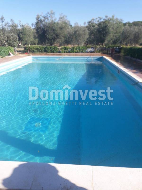  - foto 6