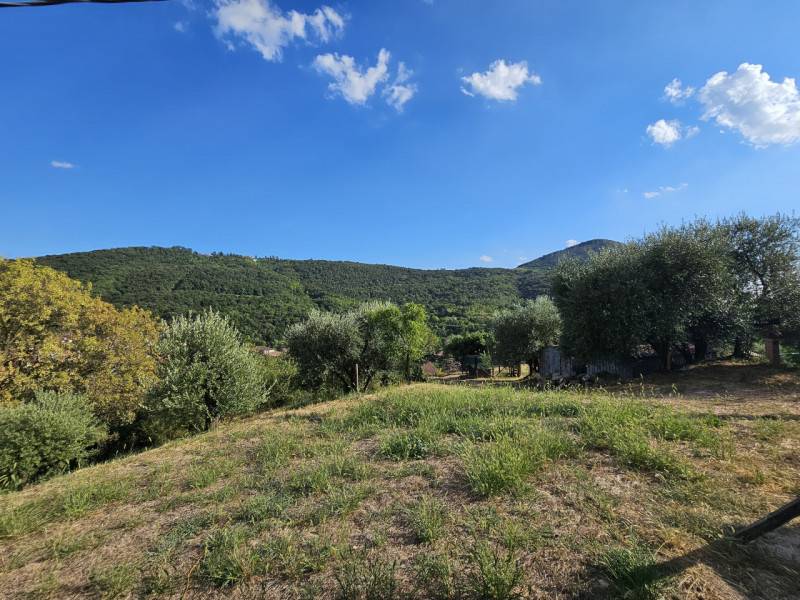 Casa Bi - Trifamiliare Faedo, Cinto Euganeo