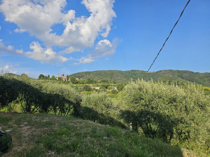  - foto 5