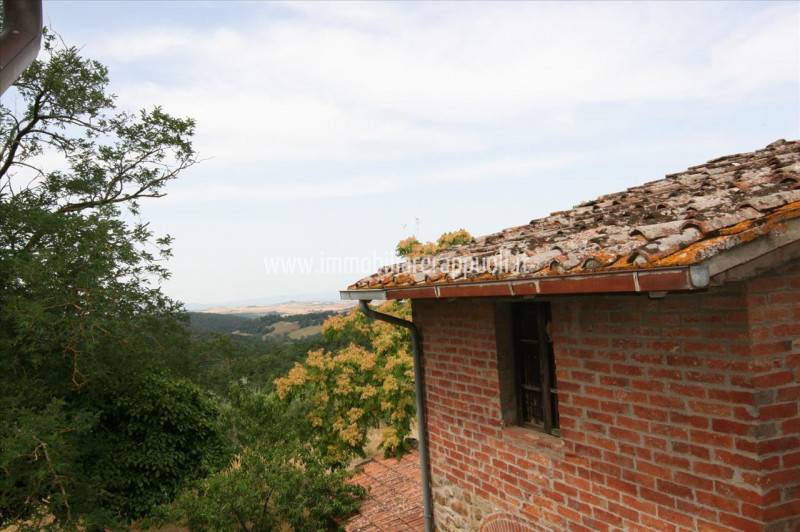 Casa indipendente Trequanda, Trequanda