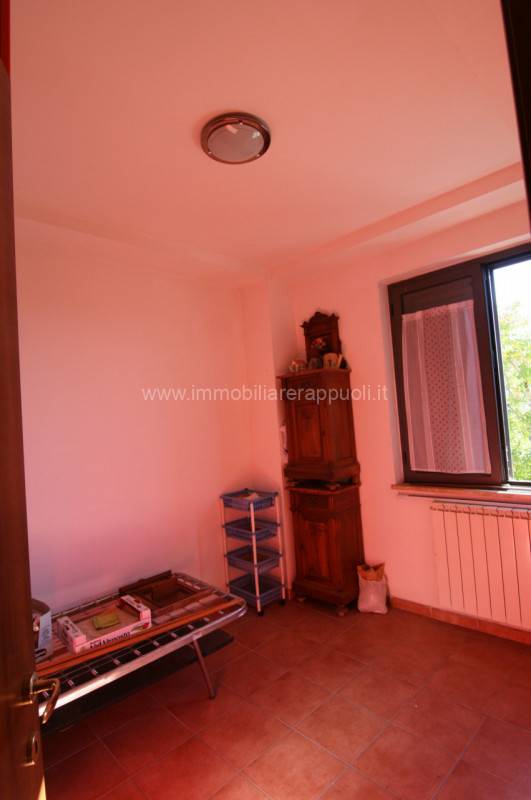  - foto 4