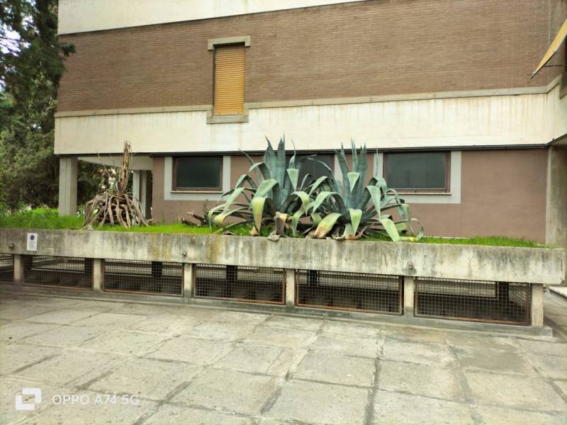  - foto 9
