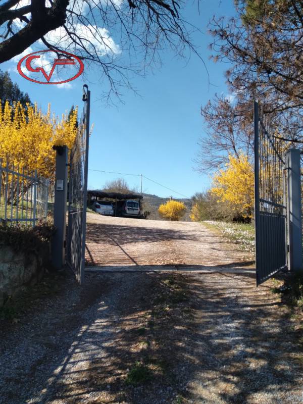  - foto 6