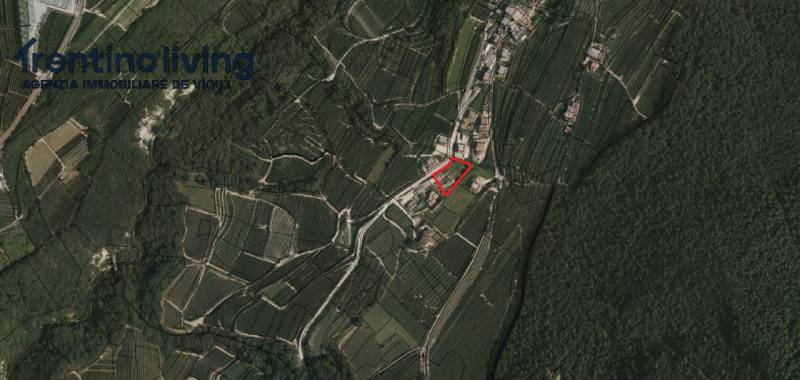 Terreno agricolo Bastianelli, Ton
