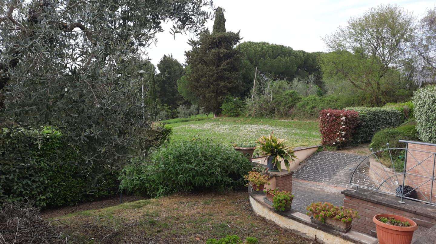  - foto 31