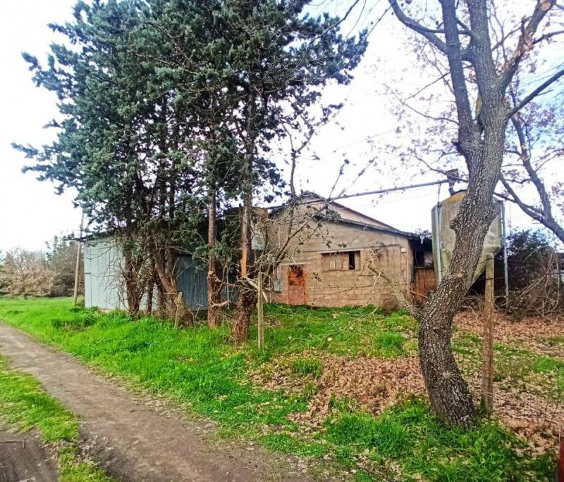 Capannone Panicarola, Castiglione del Lago