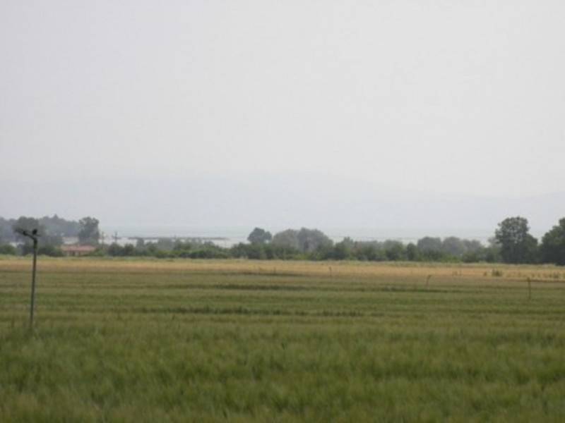  - foto 6
