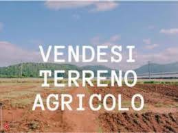 Terreno agricolo, Taglio di Po