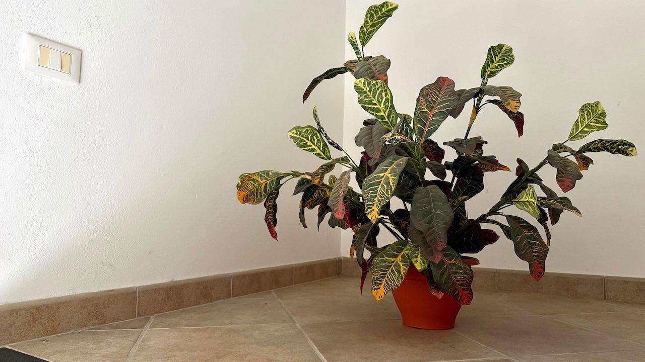  - foto 23