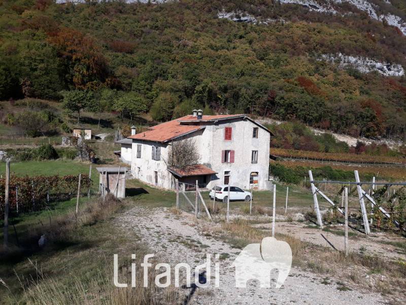 Villa Pilcante, Ala