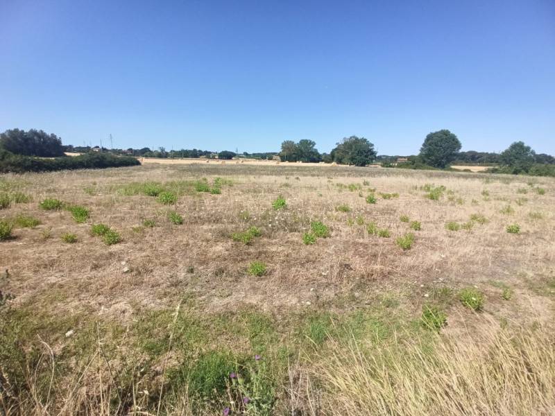 Altro Castiglione del Lago, Castiglione del Lago