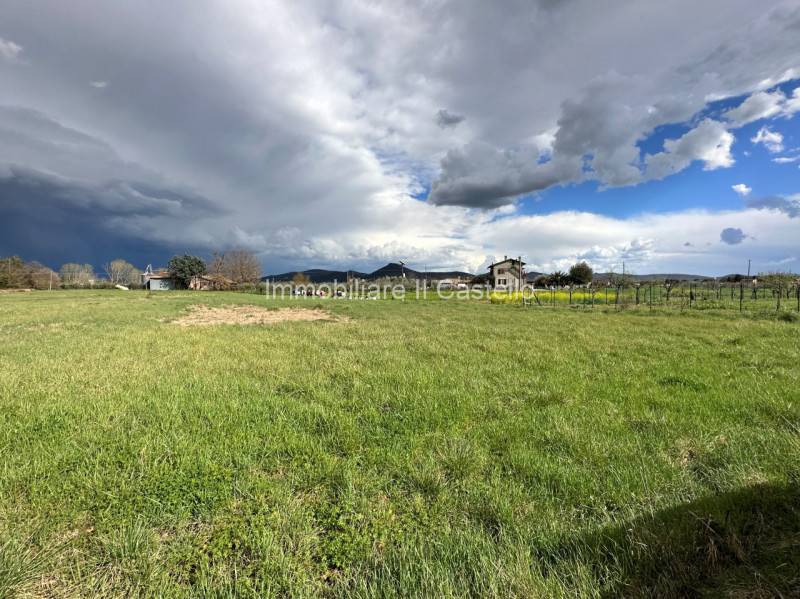 Terreno agricolo Panicarola, Castiglione del Lago