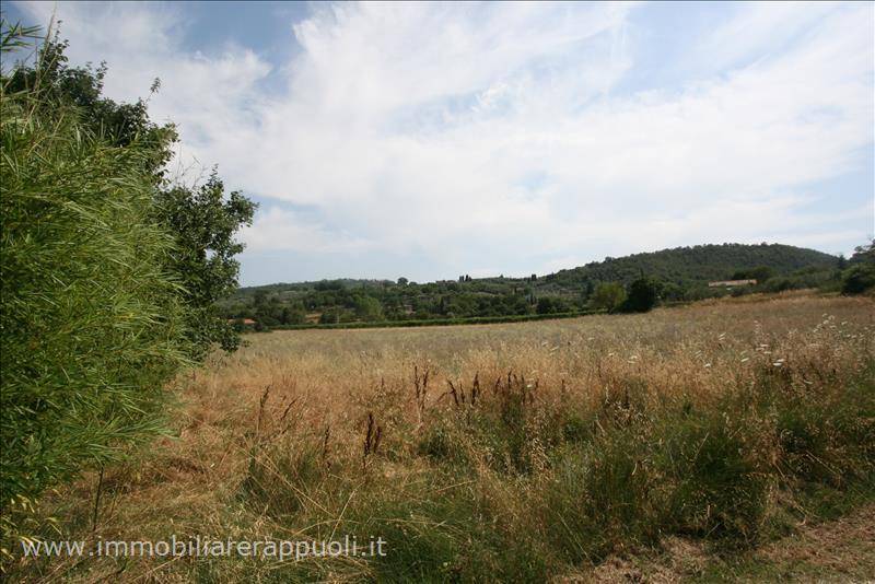 Altro Scrofiano, Sinalunga