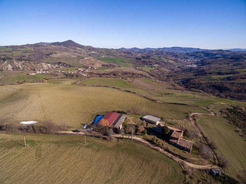 Rustico Pietrarubbia, Pietrarubbia