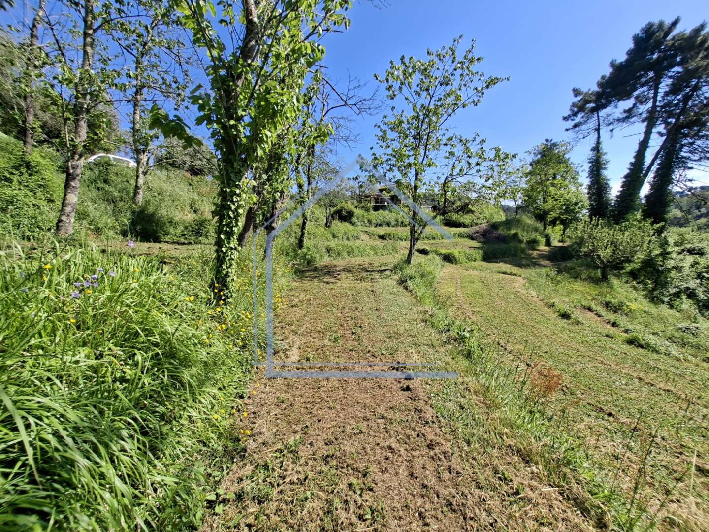  - foto 34