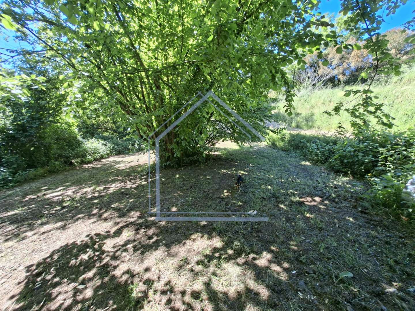  - foto 36