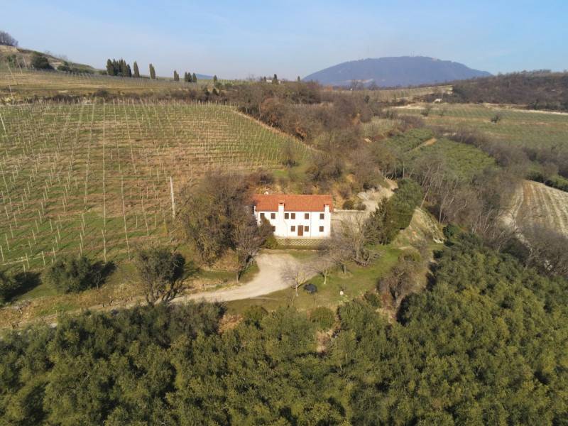 Villa, Cinto Euganeo