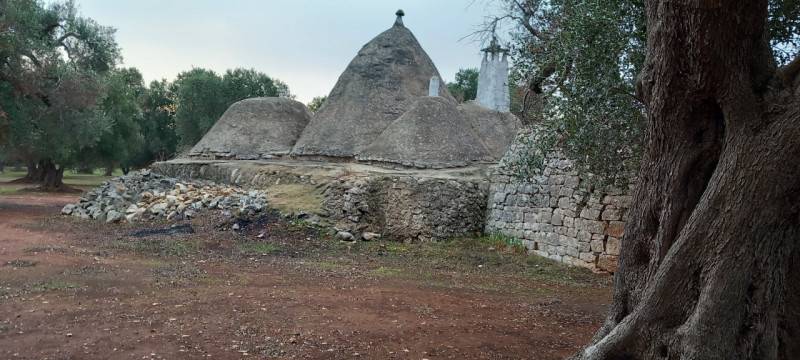  - foto 3