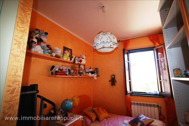  - foto 6