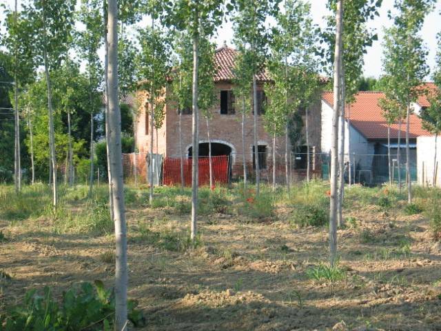 Rustico Massanzago, Massanzago