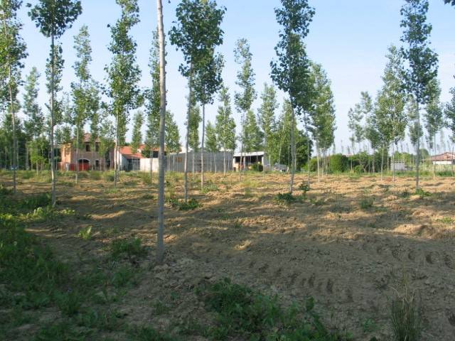  - foto 2
