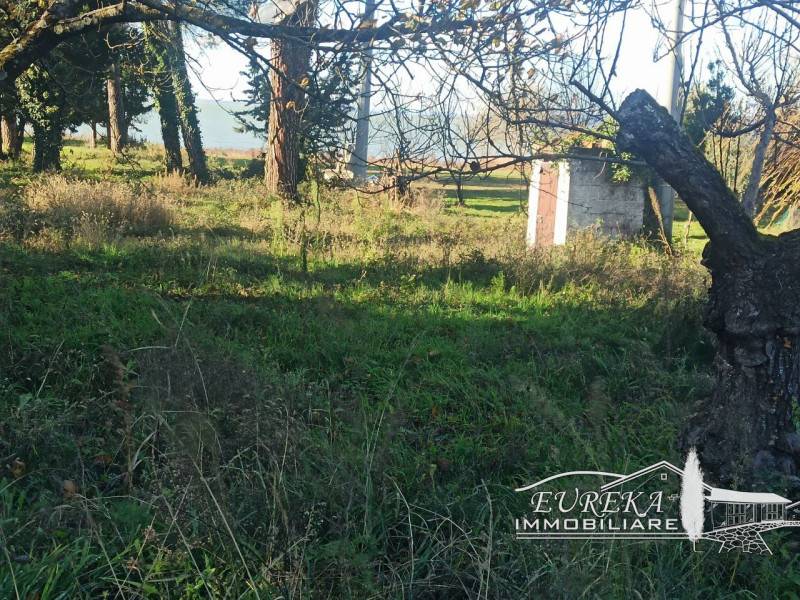 Terreno agricolo San Feliciano, Magione